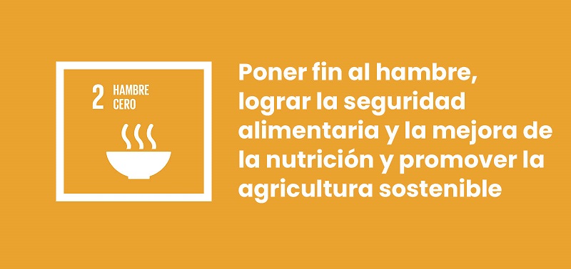 día del nutricionista