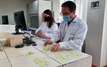 investigadores-secado-de-los-alimentos