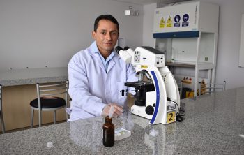 Estudio de vectores Perú